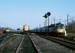 LIRR Sunday lineup